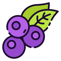 Inzpera