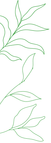 Inzpera